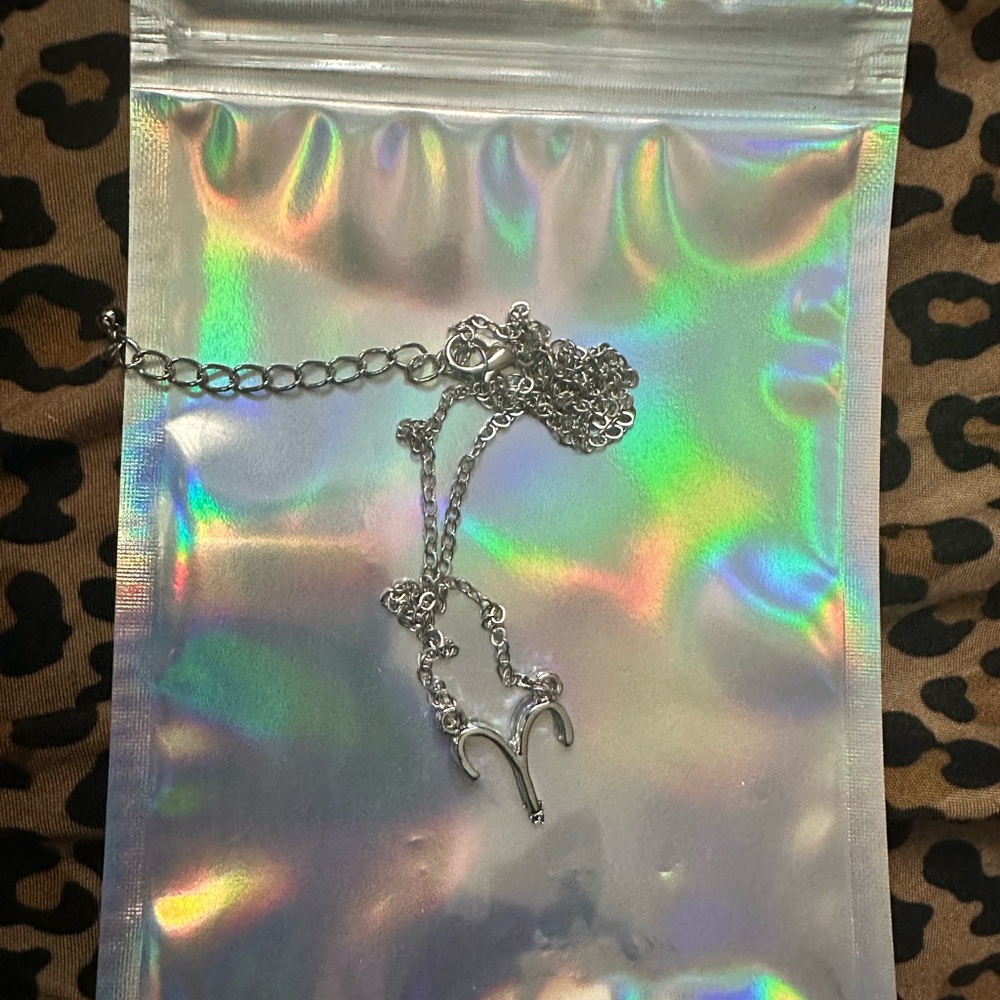 Silver Aries Zodiac Necklace